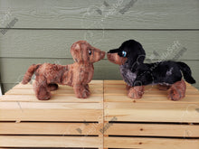 Load image into Gallery viewer, Dachshund