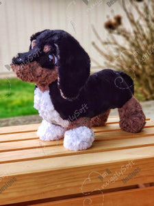 Dachshund